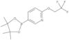 5-(4,4,5,5-Tetramethyl-1,3,2-dioxaborolan-2-yl)-2-(2,2,2-trifluorethoxy)pyridin