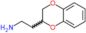 2-(2,3-dihydro-1,4-benzodioxin-2-yl)ethanamine