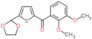 (2,3-Dimethoxyphenyl)[5-(1,3-dioxolan-2-yl)-2-thienyl]methanone