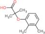 2-(2,3-dimethylphenoxy)-2-methylpropanoic acid