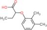 2-(2,3-dimethylphenoxy)butanoic acid