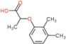 2-(2,3-dimethylphenoxy)propanoic acid