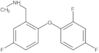 2-(2,4-Difluorophenoxy)-5-fluoro-N-methylbenzenemethanamine