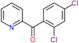 (2,4-dichlorophenyl)-(2-pyridyl)methanone