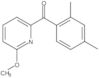 (2,4-Dimethylphenyl)(6-methoxy-2-pyridinyl)methanone