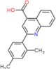 2-(2,4-dimethylphenyl)quinoline-4-carboxylic acid