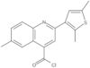 2-(2,5-Dimethyl-3-thienyl)-6-methyl-4-quinolinecarbonyl chloride