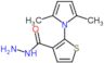 2-(2,5-dimethyl-1H-pyrrol-1-yl)thiophene-3-carbohydrazide