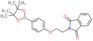 2-[2-[4-(4,4,5,5-tetramethyl-1,3,2-dioxaborolan-2-yl)phenoxy]ethyl]isoindoline-1,3-dione