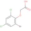 Acetic acid, (2-bromo-4,6-dichlorophenoxy)-