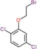 2-(2-bromoethoxy)-1,4-dichlorobenzene