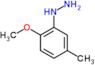 (2-methoxy-5-methylphenyl)hydrazine