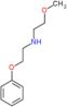 2-methoxy-N-(2-phenoxyethyl)ethanamine