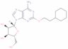 2-(2-cyclohexylethoxy)adenosine