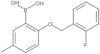 B-[2-[(2-Fluorophenyl)methoxy]-5-methylphenyl]boronic acid