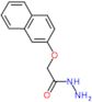 2-(naphthalen-2-yloxy)acetohydrazide