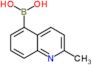 (2-methylquinolin-5-yl)boronic acid