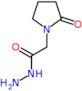 2-(2-oxopyrrolidin-1-yl)acetohydrazide