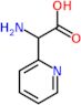 amino(pyridin-2-yl)acetic acid