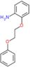 2-(2-phenoxyethoxy)aniline