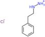 Hydrazine, (2-phenylethyl)-, hydrochloride (1:1)