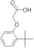 (2-TERT-BUTYLPHENOXY)ACETIC ACID