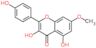 Lutéoline 7-méthyl éther