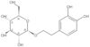 2-(3,4-Dihydroxyphenyl)ethyl β-D-glucopyranoside