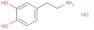 Dopamine hydrochloride