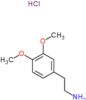 2-(3,4-dimethoxyphenyl)ethanamine hydrochloride (1:1)