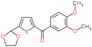 (3,4-dimethoxyphenyl)-[5-(1,3-dioxolan-2-yl)-2-thienyl]methanone