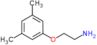 2-(3,5-dimethylphenoxy)ethanamine