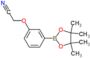 [3-(4,4,5,5-tetramethyl-1,3,2-dioxaborolan-2-yl)phenoxy]acetonitrile