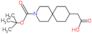 2-(9-tert-butoxycarbonyl-9-azaspiro[5.5]undecan-3-yl)acetic acid