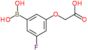 2-(3-borono-5-fluoro-phenoxy)acetic acid