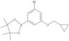 2-[3-Bromo-5-(cyclopropylmethoxy)phenyl]-4,4,5,5-tetramethyl-1,3,2-dioxaborolane