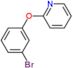 2-(3-bromophenoxy)pyridine