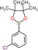 2-(3-chlorophenyl)-4,4,5,5-tetramethyl-1,3,2-dioxaborolane