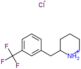 2-[3-(trifluoromethyl)benzyl]piperidinium chloride