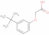 2-[3-(1,1-Dimethylethyl)phenoxy]acetic acid