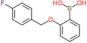 {2-[(4-fluorobenzyl)oxy]phenyl}boronic acid