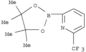 2-(4,4,5,5-Tetramethyl-1,3,2-dioxaborolan-2-yl)-6-(trifluoromethyl)pyridine