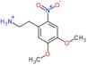 2-(4,5-dimethoxy-2-nitrophenyl)ethanaminium