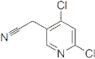 4,6-Dichlorpyridin-3-acetonitril