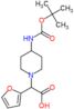 {4-[(tert-butoxycarbonyl)amino]piperidin-1-yl}(furan-2-yl)acetic acid