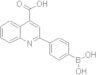 2-(4-Boronophenyl)-4-quinolinecarboxylic acid