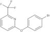 2-(4-Bromophenoxy)-6-(trifluoromethyl)pyridine