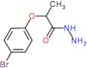 2-(4-bromophenoxy)propanehydrazide