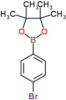 2-(4-bromophenyl)-4,4,5,5-tetramethyl-1,3,2-dioxaborolane
