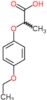 2-(4-ethoxyphenoxy)propanoic acid